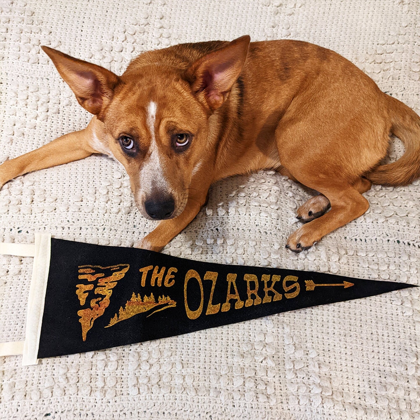 Ozarks Pennant