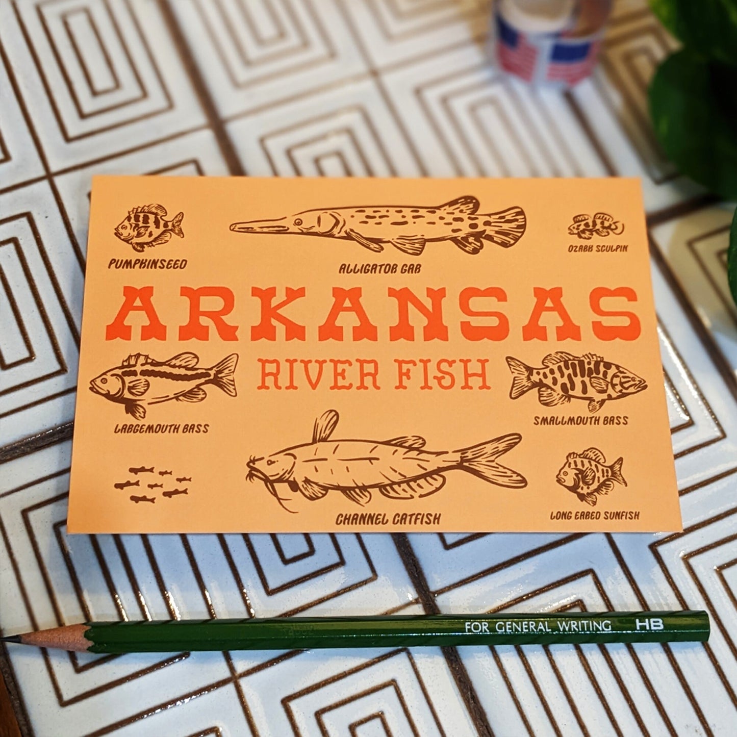 Illustrated Arkansas Post Cards