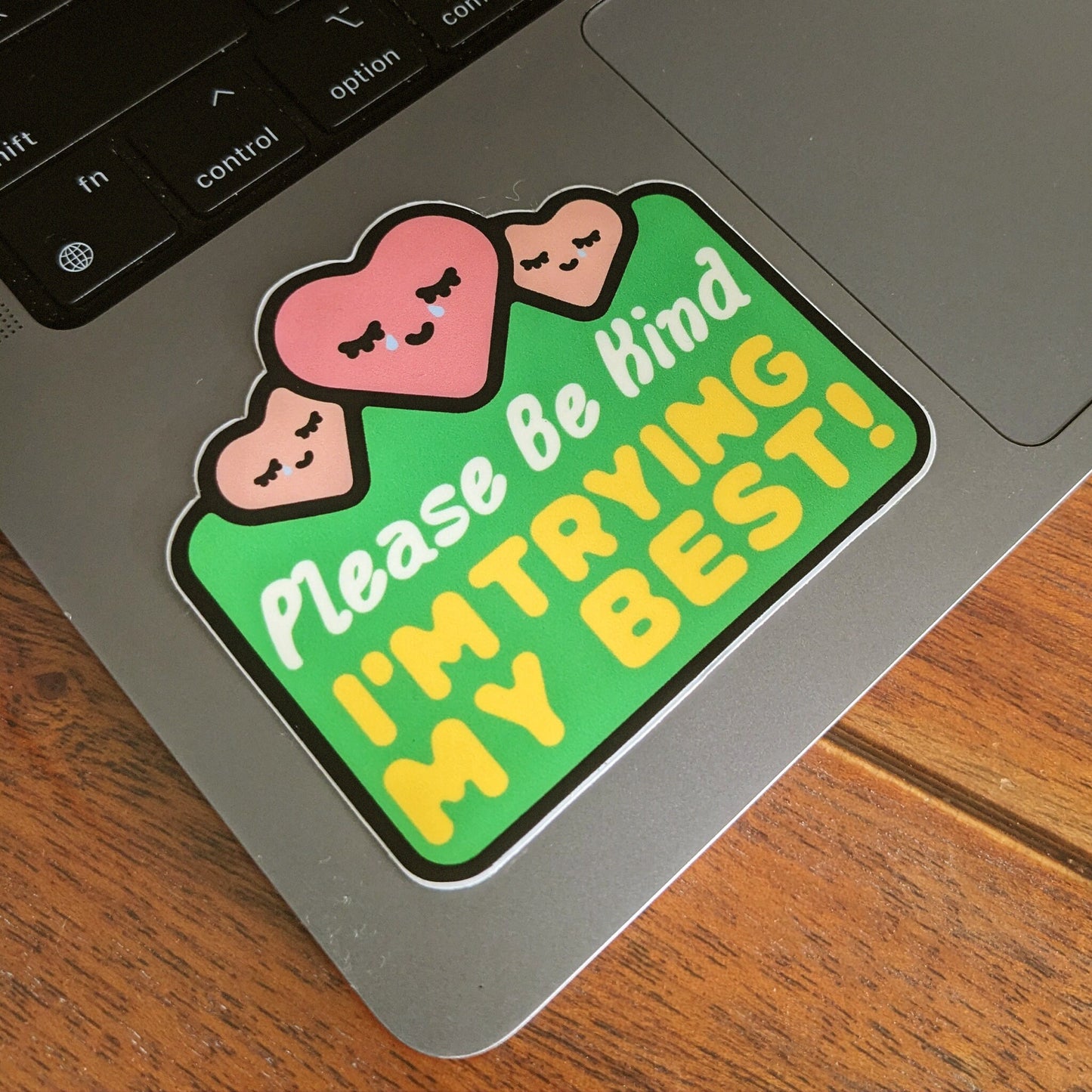 Please Be Kind Sticker